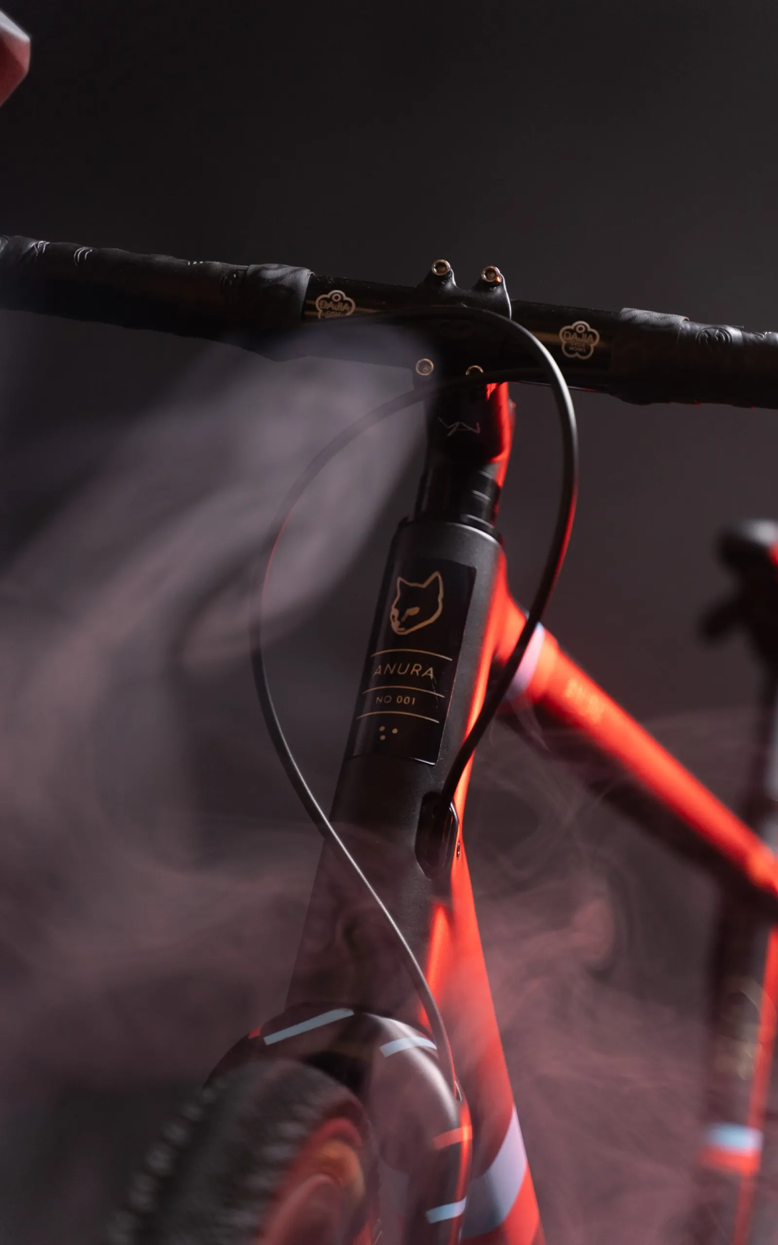 Anura bike